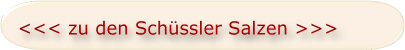 Zu den Schuessler Salzen